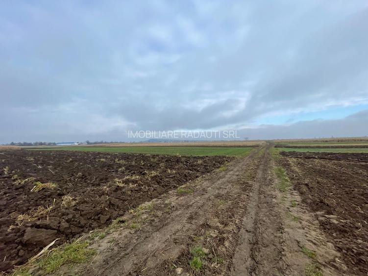 TEREN EXTRAVILAN 13 ARI | FRONT STRADAL 13 M | MARGINEA - 11