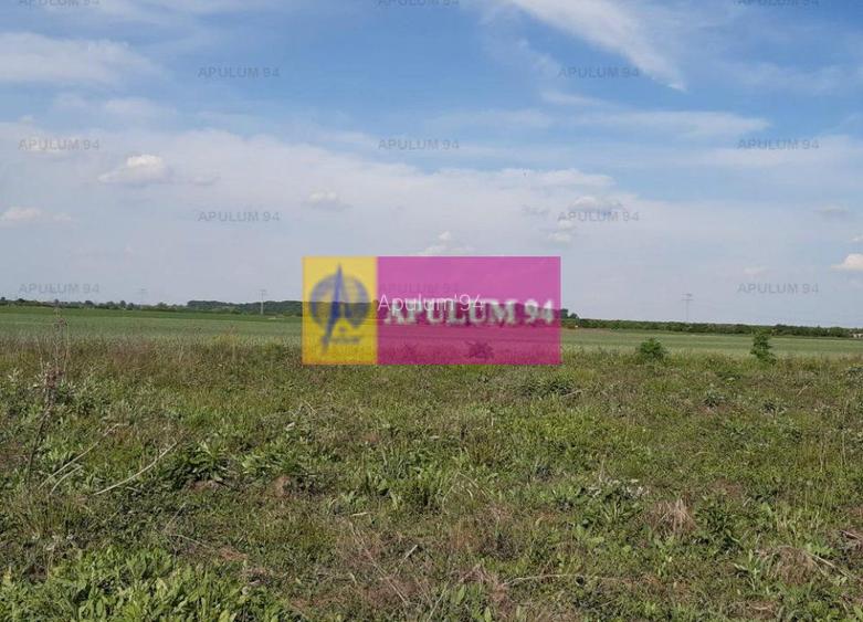 Teren aproape de Bucuresti langa padure - 5