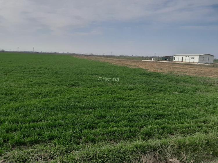 Teren extravilan- strada Mecanizarii, comuna Berceni, jud Ilfov - 5