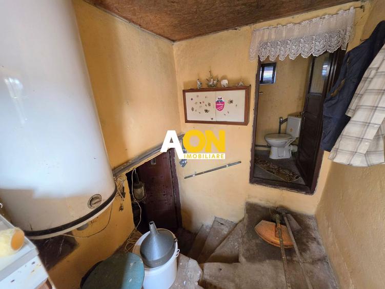 Casa traditionala, 3 camere, la asfalt, 1685 mp teren, Ciugud