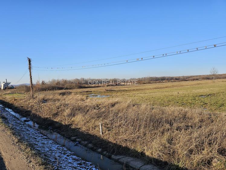 Teren extravilan - constructii, suprafata 49.933 mp, drumul E79, Beius - 6