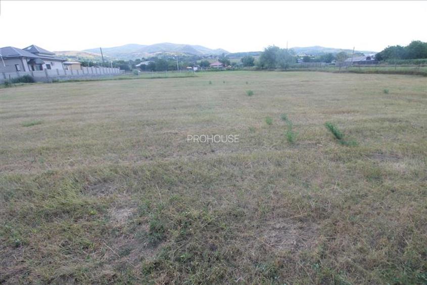 Teren 3000 mp intravilan - Sarata - 8