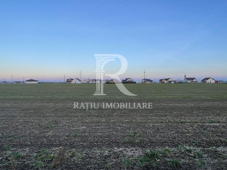 Teren intravilan 500 MP | Livada de Bihor | Bihor