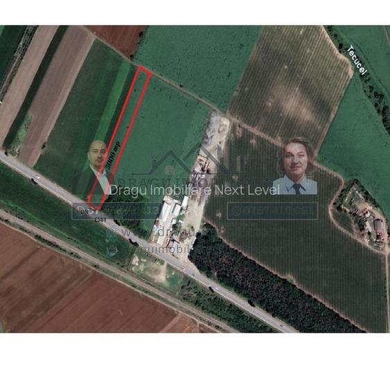 Teren 5000 mp, ieșire din Tecuci, după Peco Gălbenuș - 4