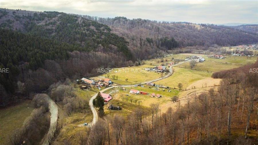 Teren la poalele padurii,Buzaiel,Vama Buzaului,DJ,constructie +utilitati,Brasov - 5