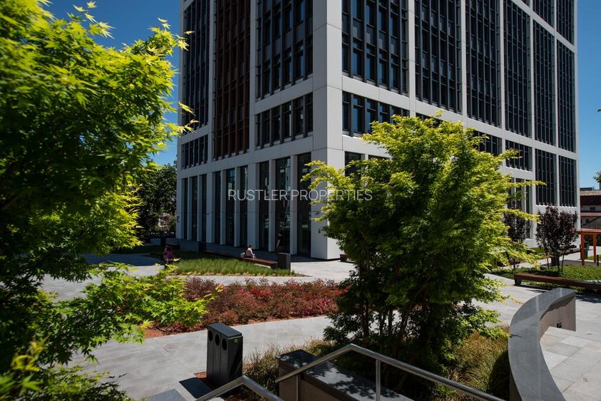 Birouri de inchiriat in Bucharest Business Garden - cladirea B - 4