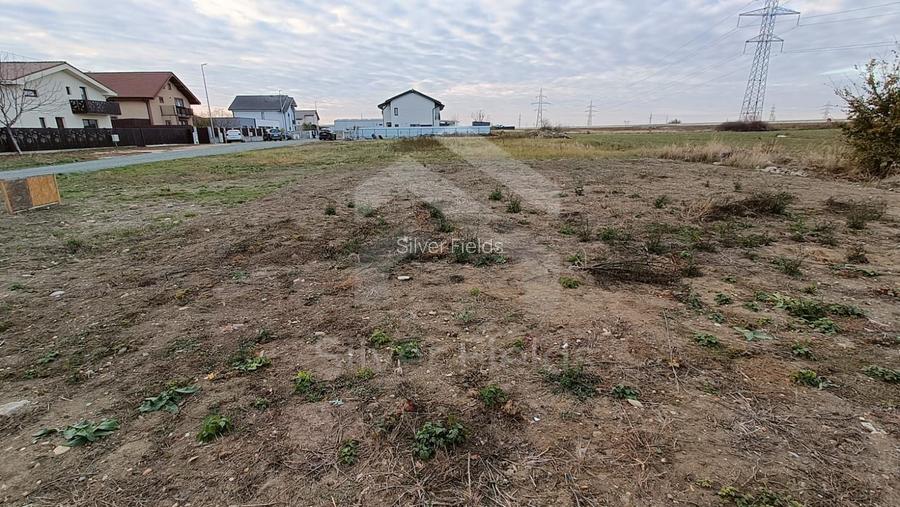 Teren Dumbrăvița cu front generos 24 ml - 6