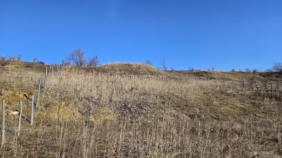 20 Euro/mp, Teren superb, 5.665 mp, Valea Fantelor-Iris - 8