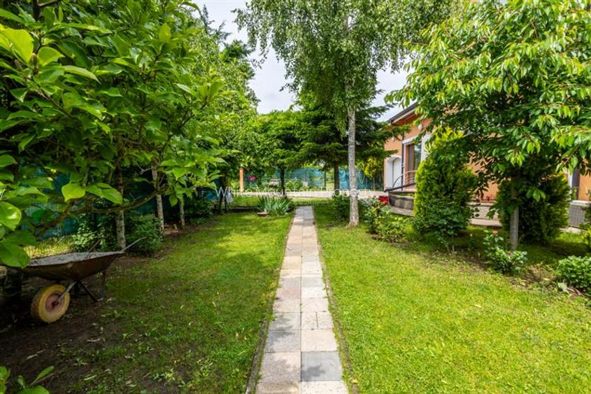 Vila oportunitate, 6 camere, teren 1.000 mp, de vanzare, Snagov - 21