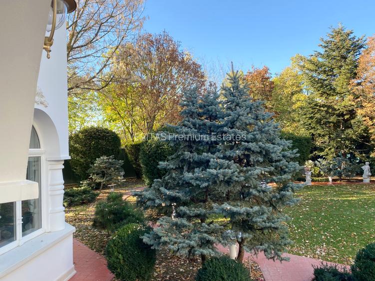 Eleganta clasica, vila cu prestanta si teren 1600 mp, 2 garaje, Otopeni Ferme - 12