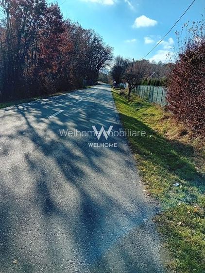 974 mp de vis, între pădure și cer - Teren intravilan, Cisnadioara, Sibiu - 2