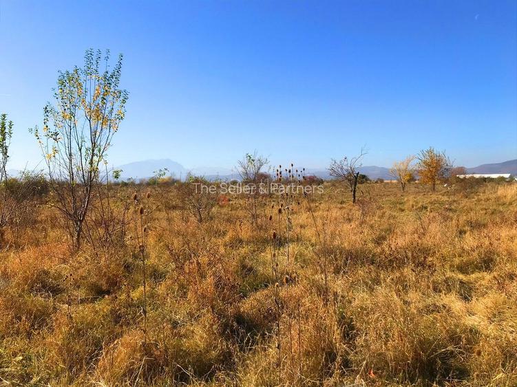 Teren investitie Ghimbav - 5