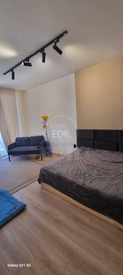Apartamemt de 1 camera, zona Porii - 4