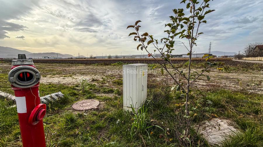 Teren industrial, intravilan, cu utilitati, Stupini, 11.600 mp - 11