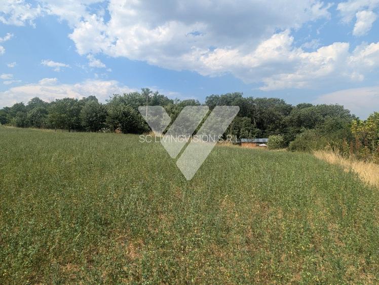 Teren intravilan 1670 mp cu vedere spre lacuri Ocna Sibiului - 8