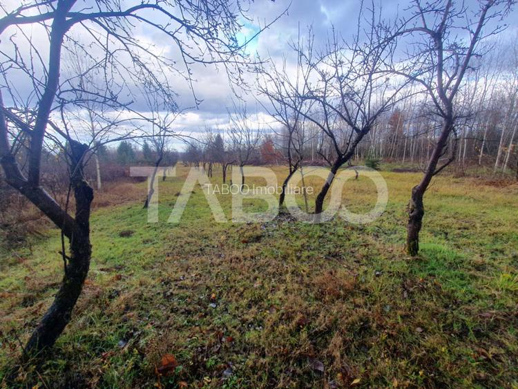 Teren extravilan 1000 mp Statiunea Climaterica Sambata de Sus - 2
