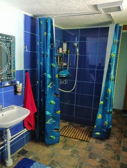 Doriți aer curat liniște vă ofer o casă frumoasă  - 10