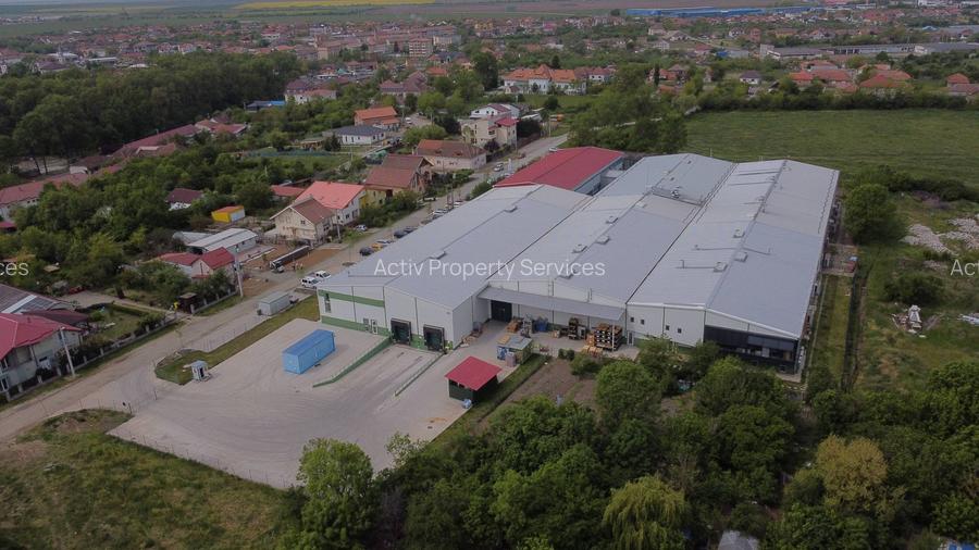 Hală producție/ depozitare de inchiriat Buziaș, Timiș - 2