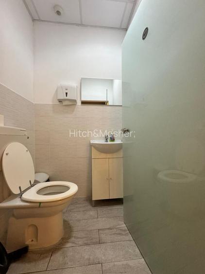 SAD Situat ultracentral, de inchiriat - 11