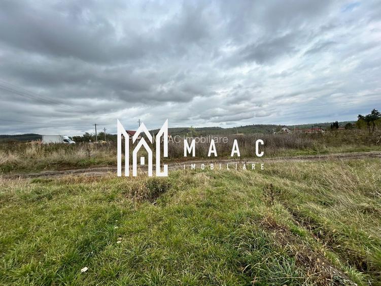 Teren | 3700 mp | Deschidere la DN | Intrare Vestem – Sibiu - 9