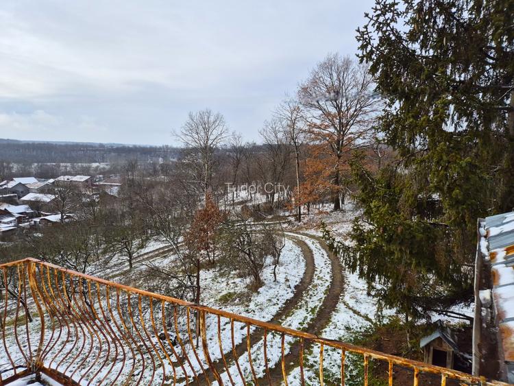 Moșia boierească din vârf de deal, Scorțeni - Prahova, comision 0% - 16