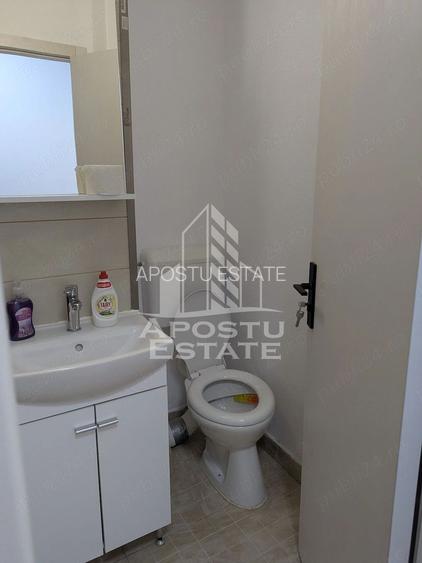 Apartament cu 2 camere de vanzare, etaj 1, zona Sagului, Timisoara - 10