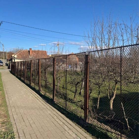 Teren intravilan de vanzare in Barabant - 3