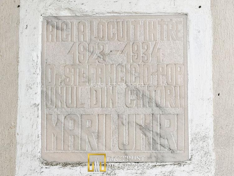 Castel istoric de vânzare în Conop | proprietatea lui Cicio Pop - 12