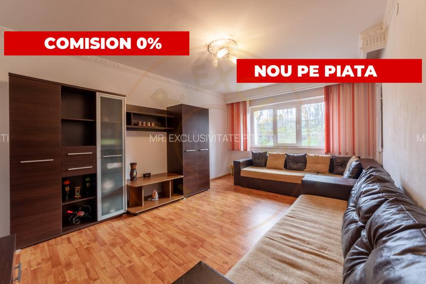 Mioveni, 2 camere, 50mp, decomandat, acces imediat catre Uzina Dacia - 12