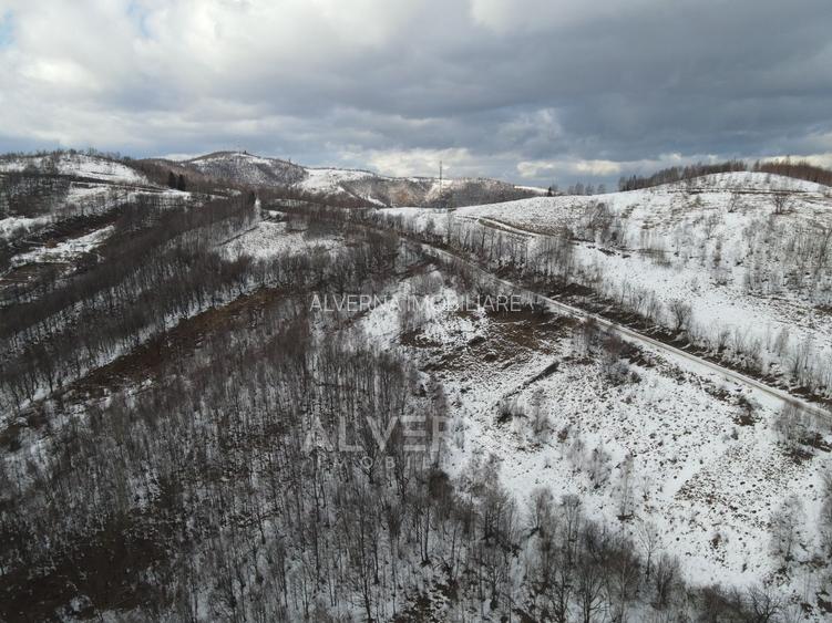 Teren intravilan 3127mp Front 47m | drum asfaltat | Plopi Valea Ierii - 2