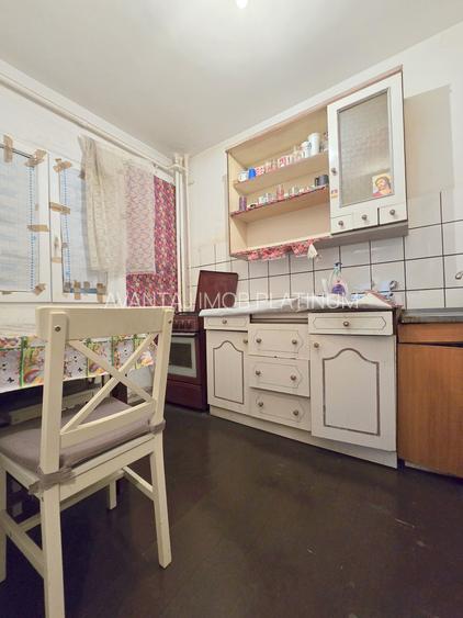 Lacul Tei - Maica Domnului, apropiere Facultatea de Constructii - 8