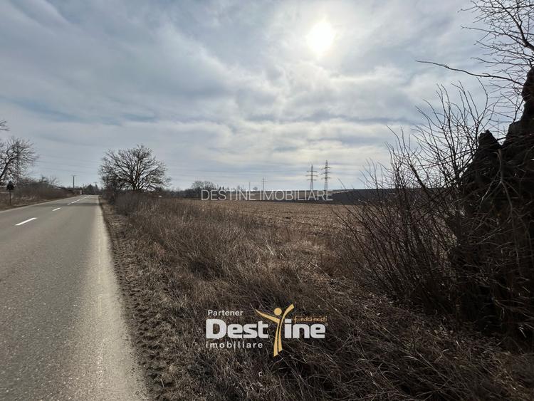 Teren de vanzare Caciulesti 10.000 Euro 1300mp - 2