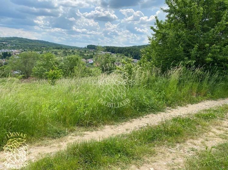 Teren intravilan 2800 mp cu utilitati-ideal case-Valea Ghinzii - 4