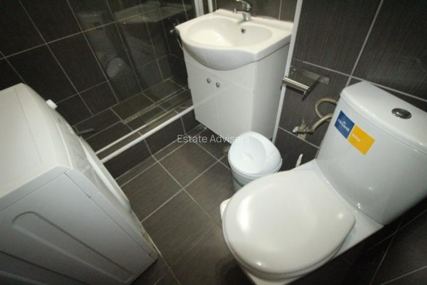 Inchiriere apartament 3 camere, Magheru-Romana - 9