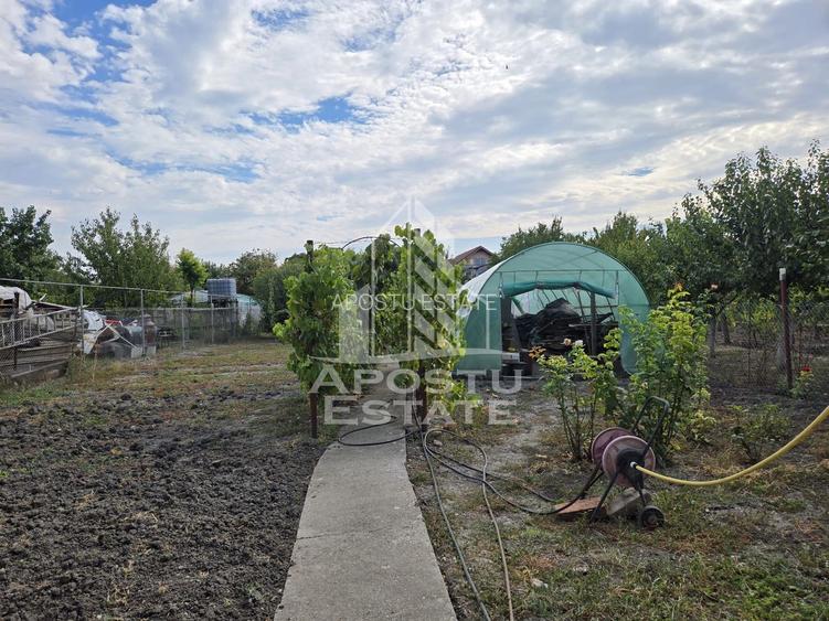 Casa individuala, teren generos, 800mp, zona Mehala - 12