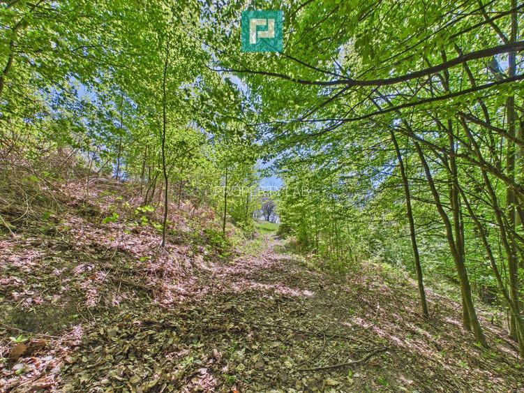 Proprietate rară cu 24.270 mp, în Măgulicea, Arad! - 31