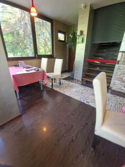 Oportunitate de investitie restaurant in Parcului Tineretului - 7