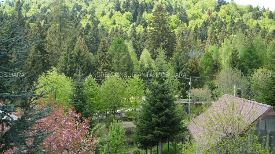 Vanzare 2 vile noi, mari superbe si 1905 mp teren la munte in Cheia Prahova - 14
