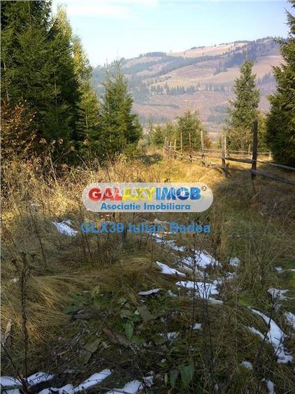 Teren pentru Complex Turistic - 12 730 mp  - Vatra Dornei - 11