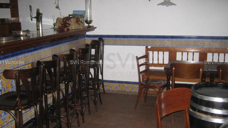REV0005661 Vila renovata - zona Cismigiu - 18