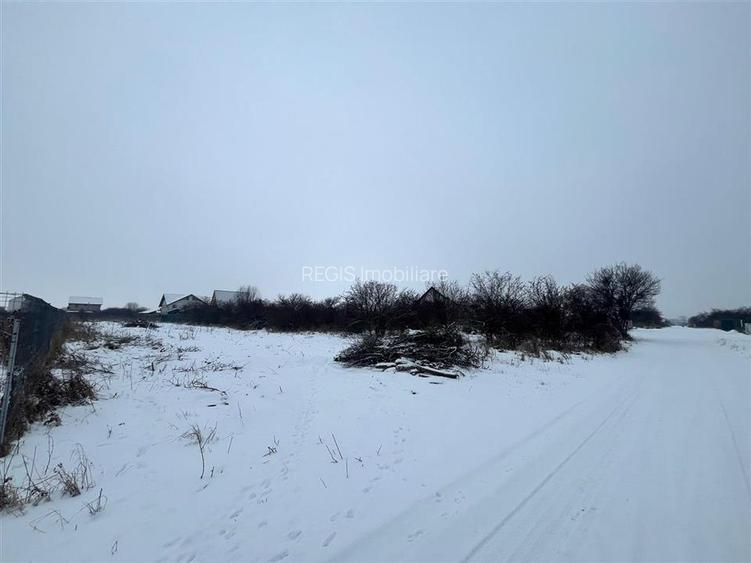 TEREN INTRAVILAN GENEROS, SANPETRU, BRASOV - 3