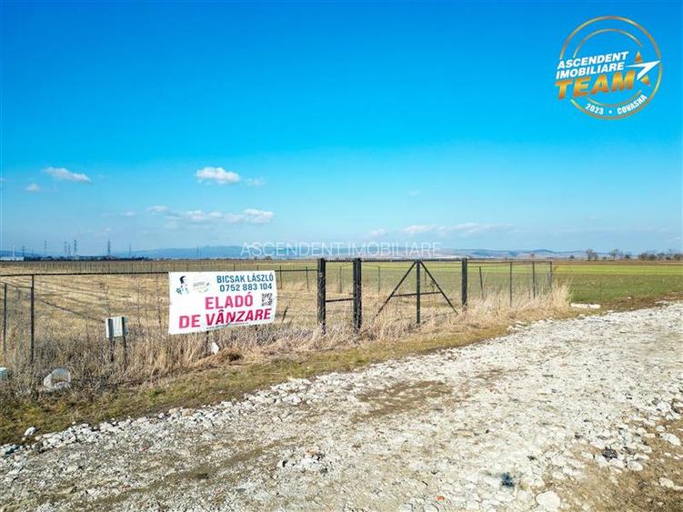 Liniste si aer curat in proximitatea Municipiului Sfantu Gheorghe - 2