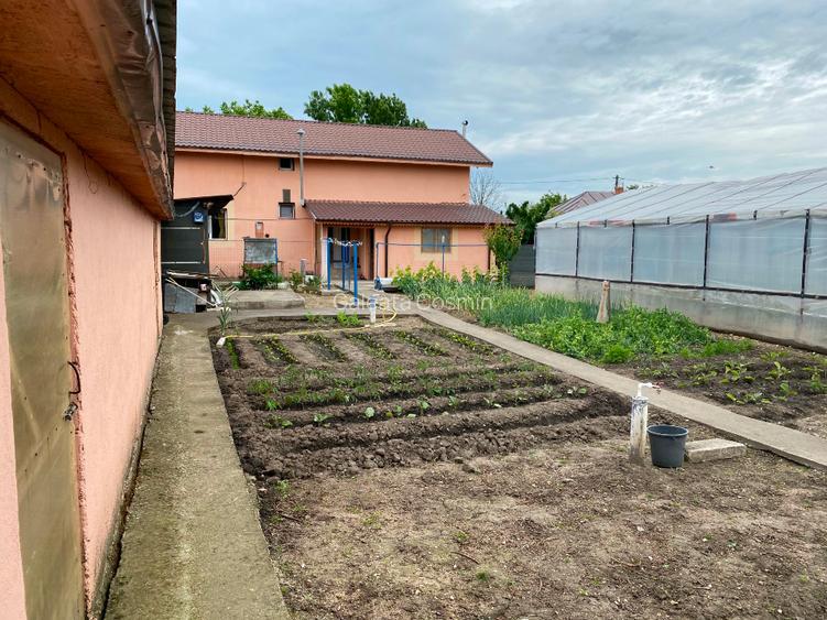 Vând casă județul Teleorman cu utilități de microfermă - 6