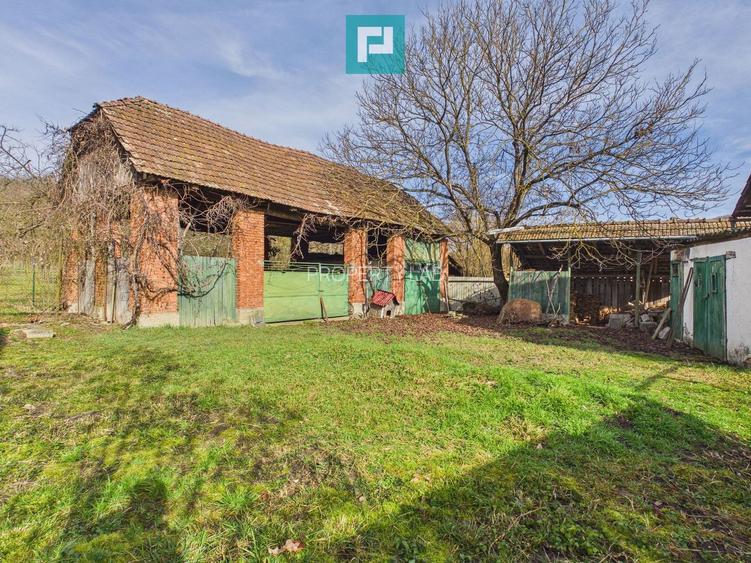 Casa din caramida si teren 1316 mp - Savarsin - 3