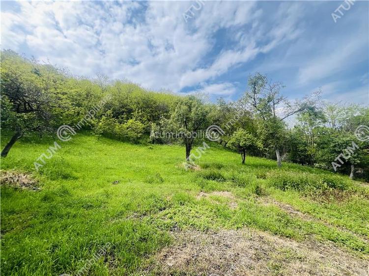 Teren intravilan de 1811 mp situat in Sibiel judetul Sibiu - 4