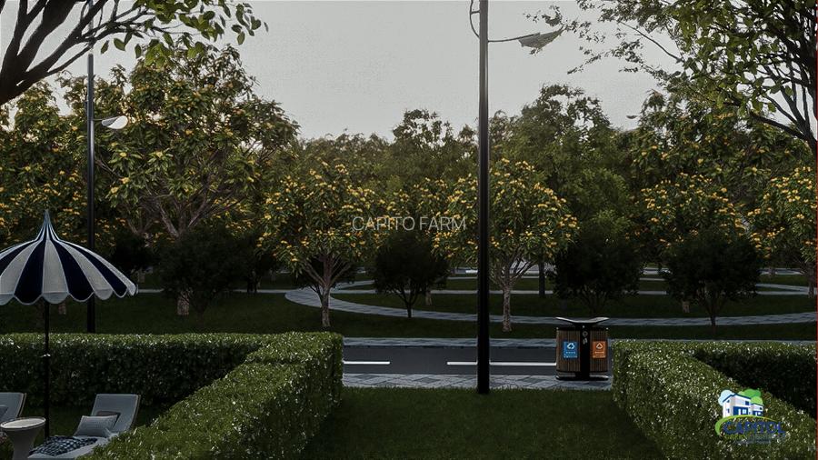 Capitol Green Residence - 12