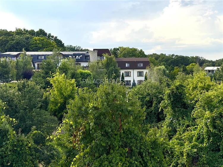 Vila eleganta de inchiriat in Copou - 16