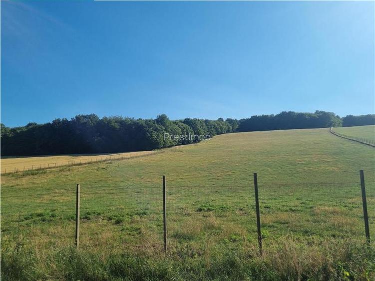 De vanzare teren intravilan 3.1 Ha, Sancraul De Mures, Mures - 2