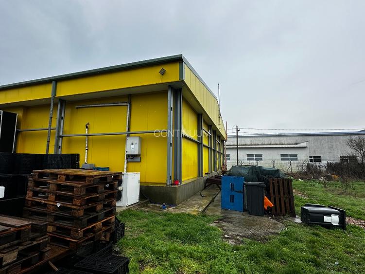 Fabrica de procesare peste si crustacee - Proprietatea Imobiliară Industrială  - 4