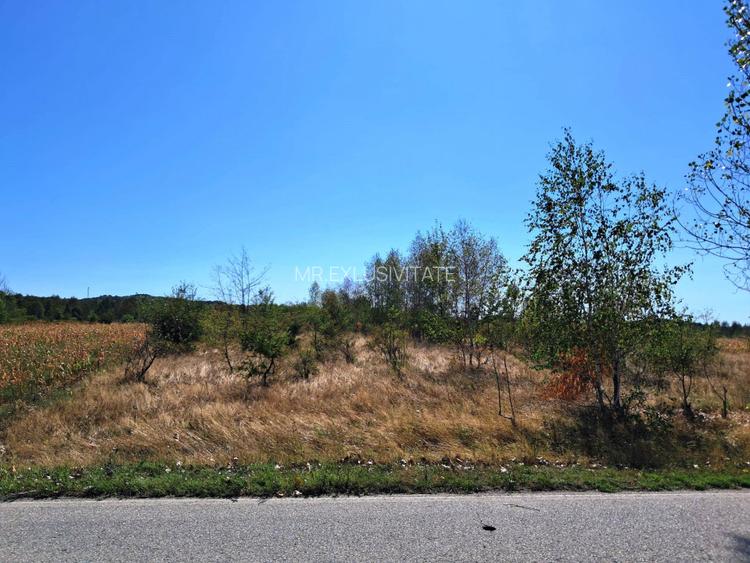 TEREN INTRAVILAN ȘI EXTRAVILAN BAIA DE FIER - 3